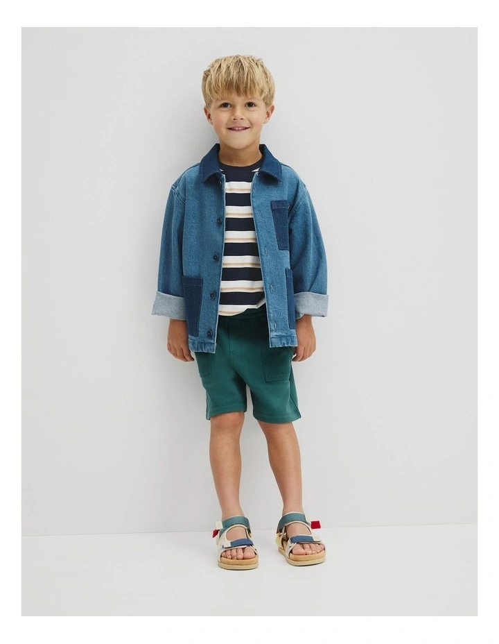 Australian Cotton Oversized Stripe Short Sleeve Tee in Navy Honey Strp image 4