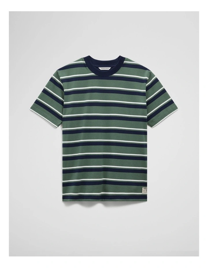 Teen Australian Cotton Relaxed Stripe Short Sleeve T-shirt in Cilantro Stripe image 2