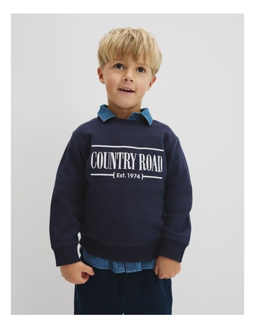 French Navy colour