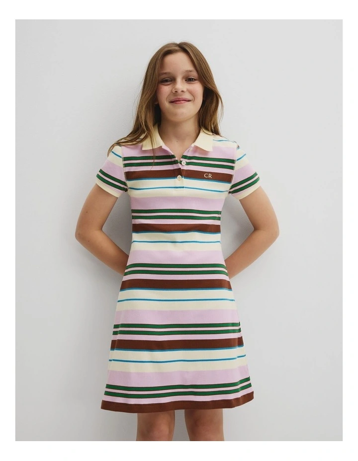 Short Sleeve Collar Polo Dress in Multi Stripe image 1