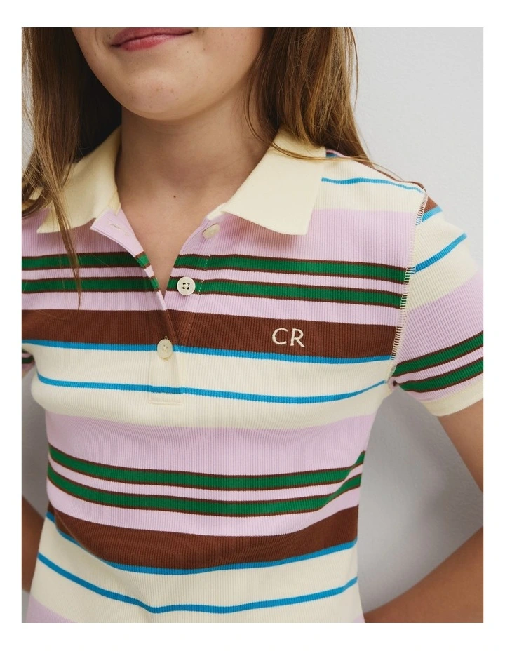 Short Sleeve Collar Polo Dress in Multi Stripe image 3