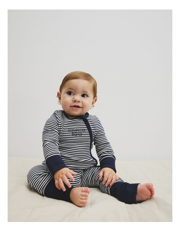 Navy Stripe colour