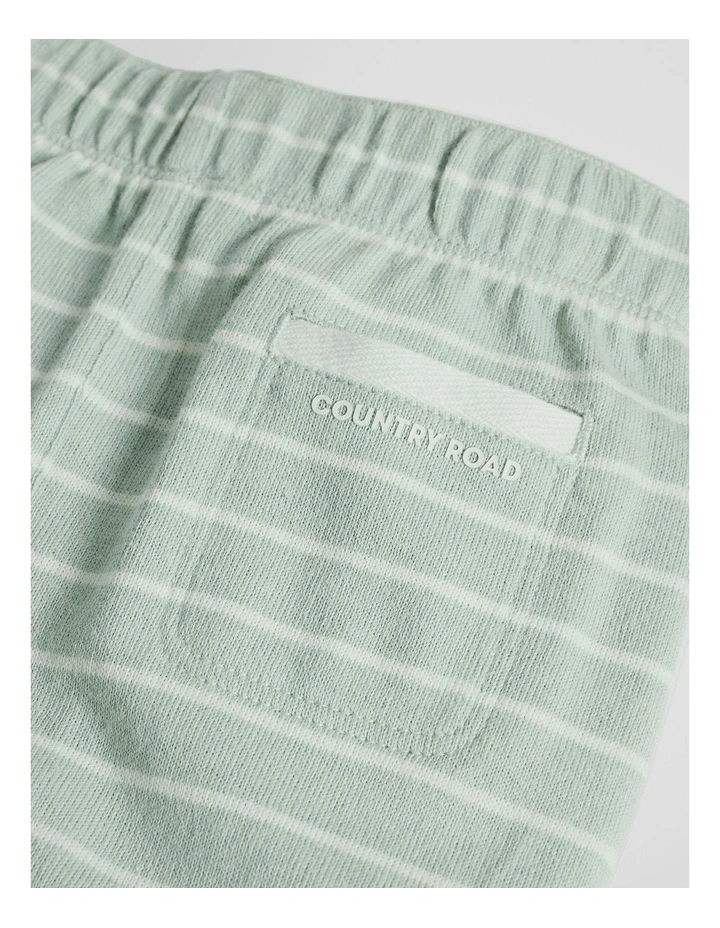 Textured Pull On Pant in Saltbush Stripe image 4