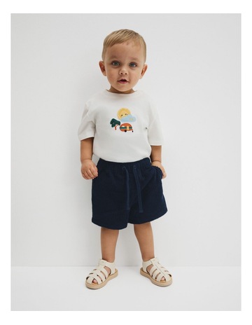 Navy colour