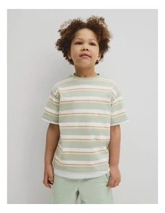 Oversized Stripe Short Sleeve T-shirt in Saltbush Stripe