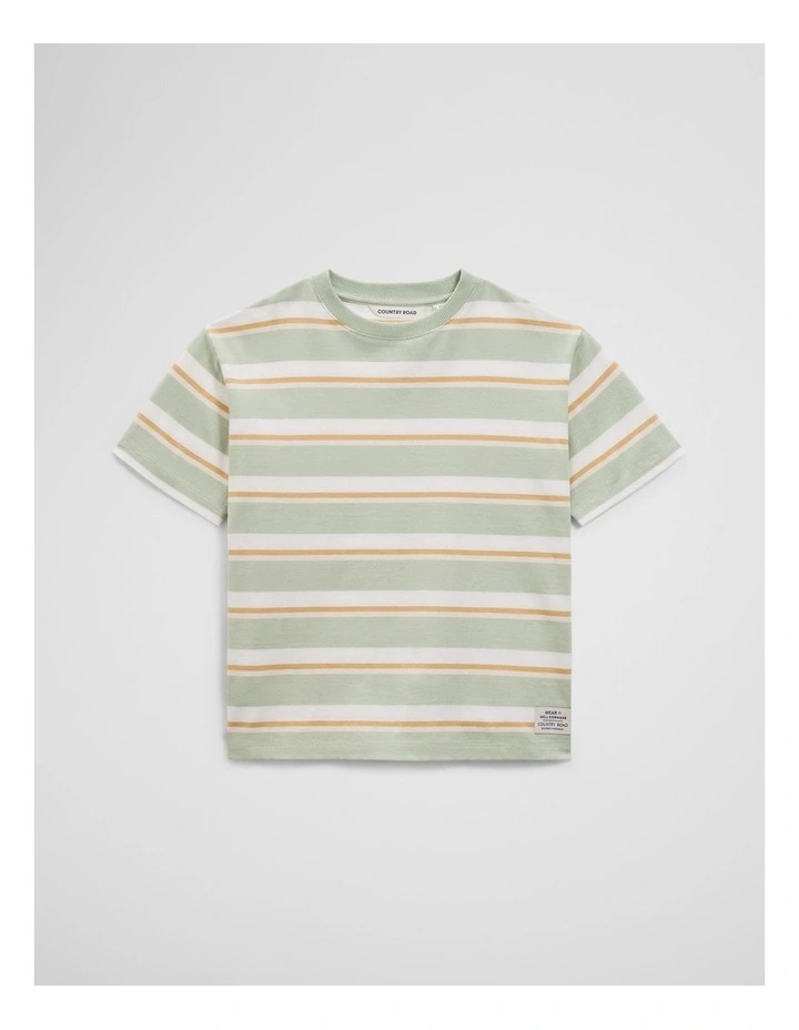 Oversized Stripe Short Sleeve T-shirt in Saltbush Stripe image 2