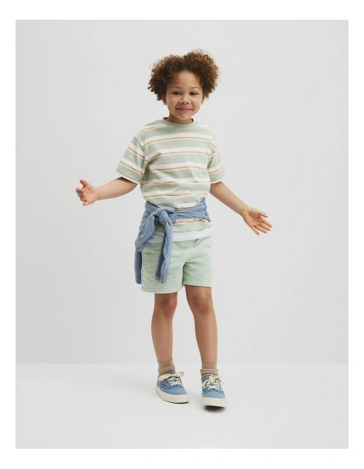 Oversized Stripe Short Sleeve T-shirt in Saltbush Stripe image 4