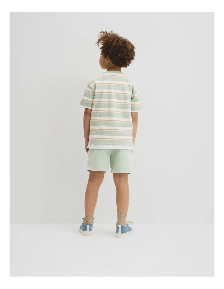 Oversized Stripe Short Sleeve T-shirt in Saltbush Stripe image 5