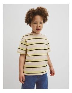 Oversized Stripe Short Sleeve T-shirt in Pebble Stripe