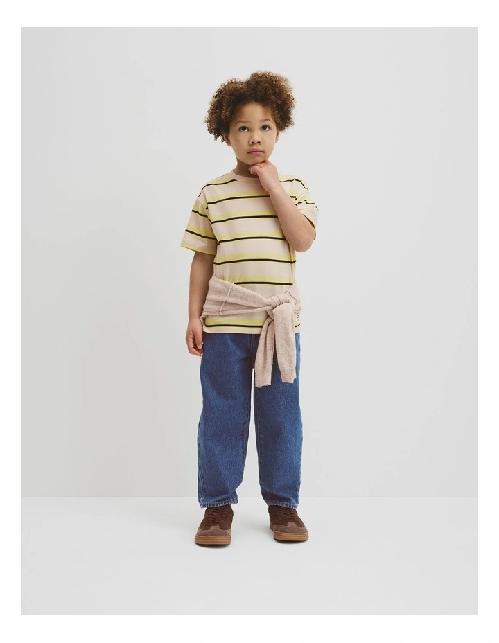 Oversized Stripe Short Sleeve T-shirt in Pebble Stripe image 4