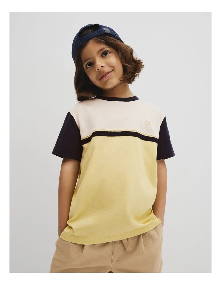 Relaxed Contrast Splice T-shirt in Pea Green image 1