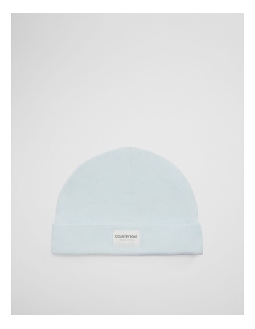 Pale Blue colour