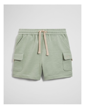 Oyster colour