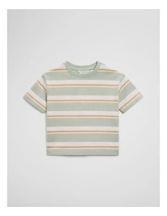 Oversized Stripe Short Sleeve T-shirt in Saltbush Stripe