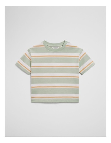 Saltbush Stripe colour