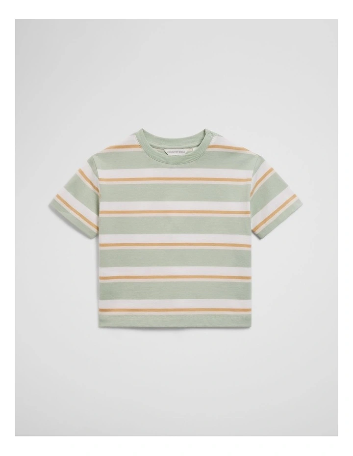 Oversized Stripe Short Sleeve T-shirt in Saltbush Stripe image 1