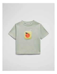 Short Sleeve Relaxed Fruit Box T-shirt in Saltbush