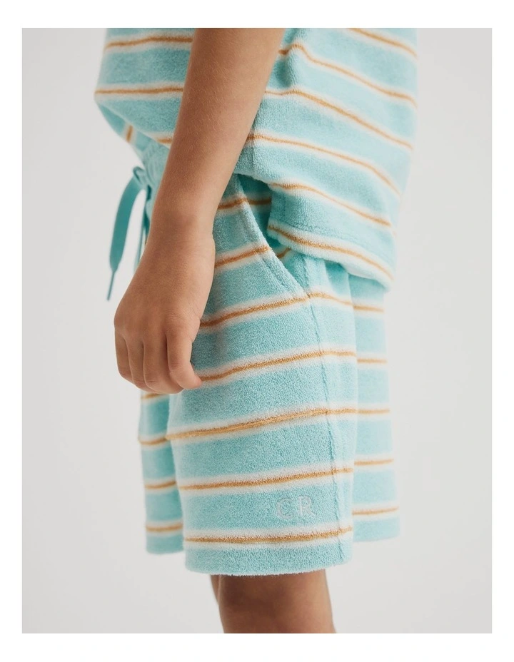 Stripe Terry Short in Reef Blue Stripe image 3