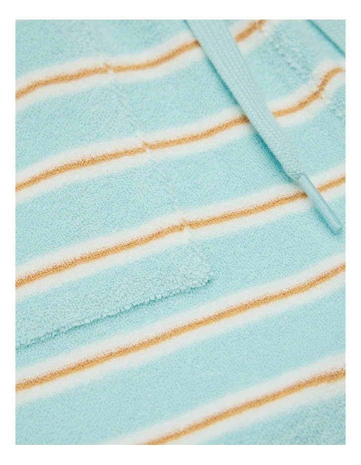 Stripe Terry Short in Reef Blue Stripe image 6