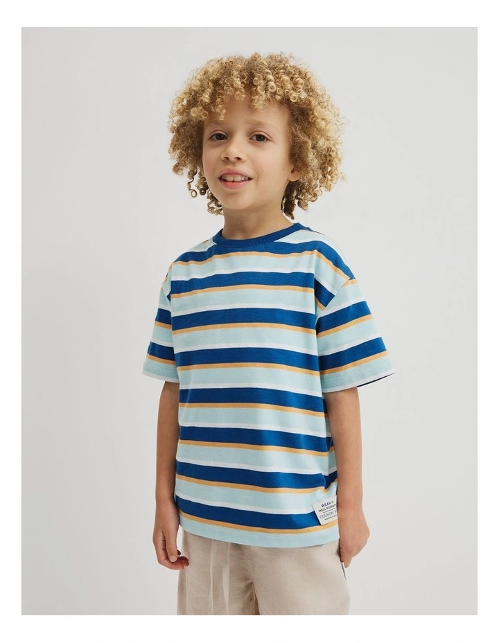 Oversized Stripe Short Sleeve T-shirt in Bold Blue Stripe image 1