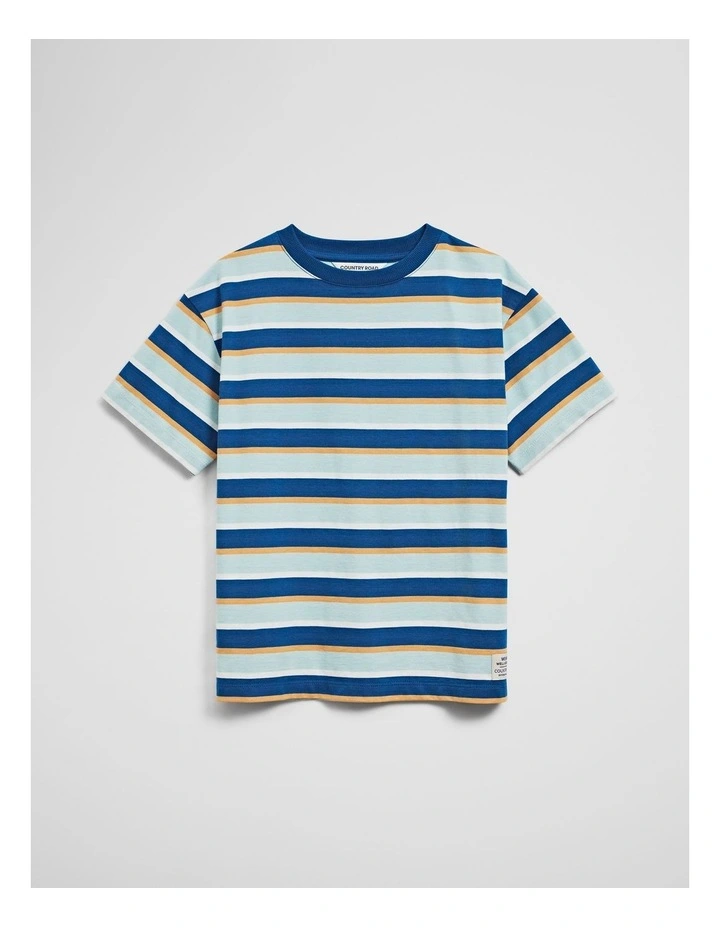 Oversized Stripe Short Sleeve T-shirt in Bold Blue Stripe image 3