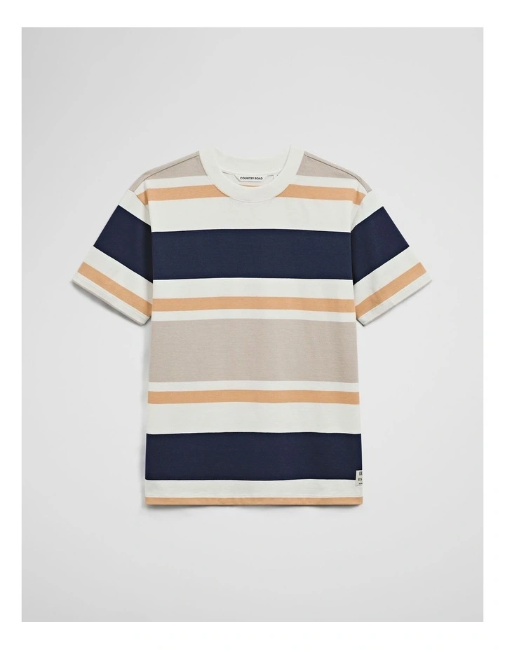 Teen Relaxed Fit Stripe Short Sleeve T-shirt in Bold Blue Stripe image 2