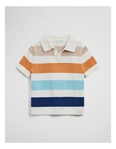 Stripe Knit Polo in Pebble