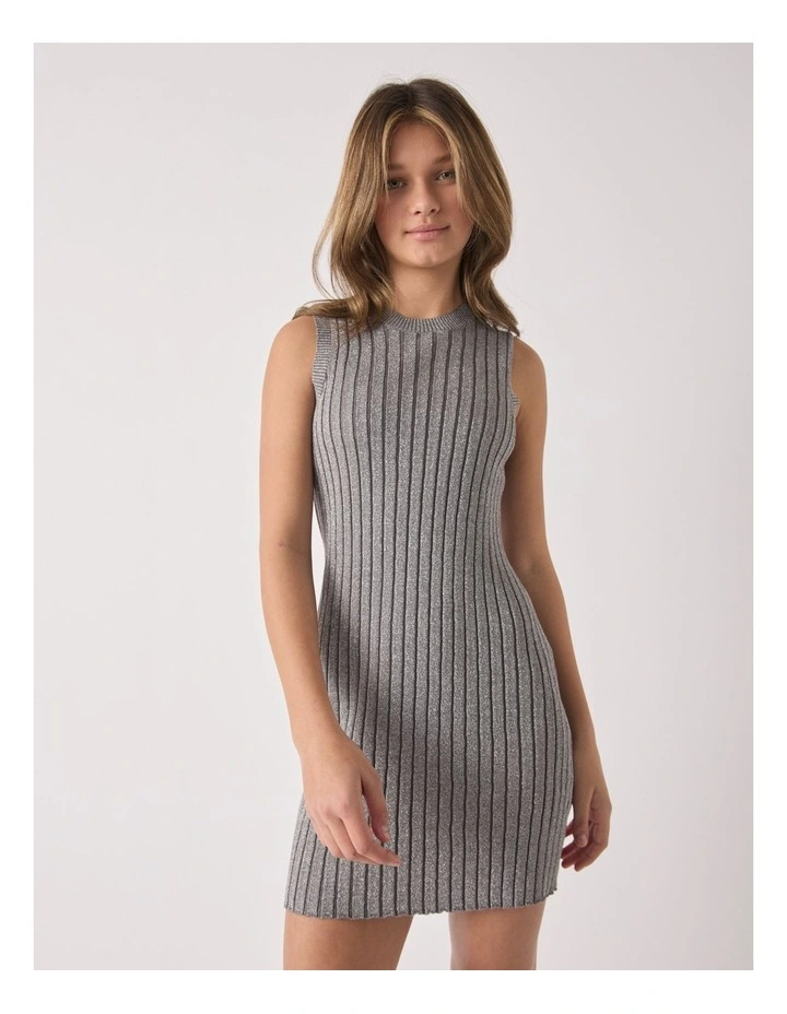 Julia Knit Dress in Silver image 3