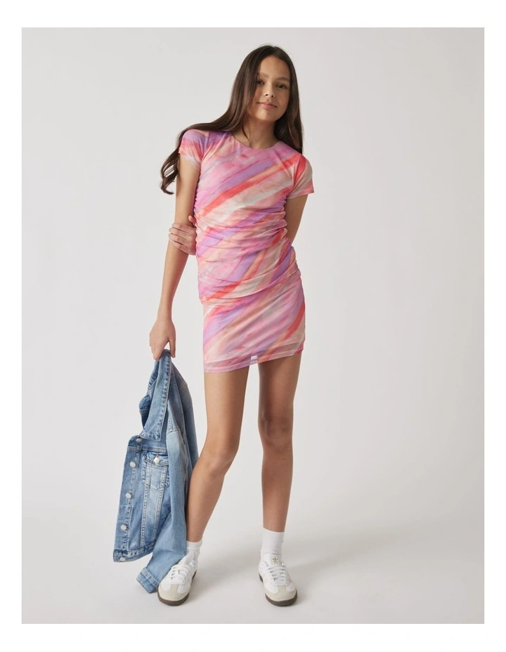 Nala Mesh Dress in Multi image 1