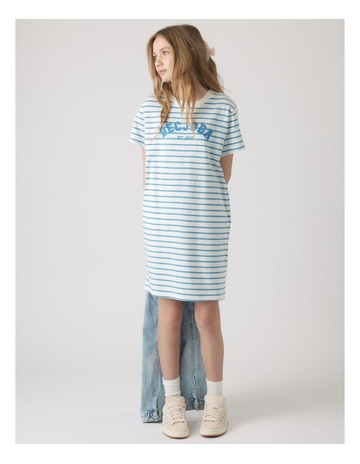 Blue Oasis Stripe colour