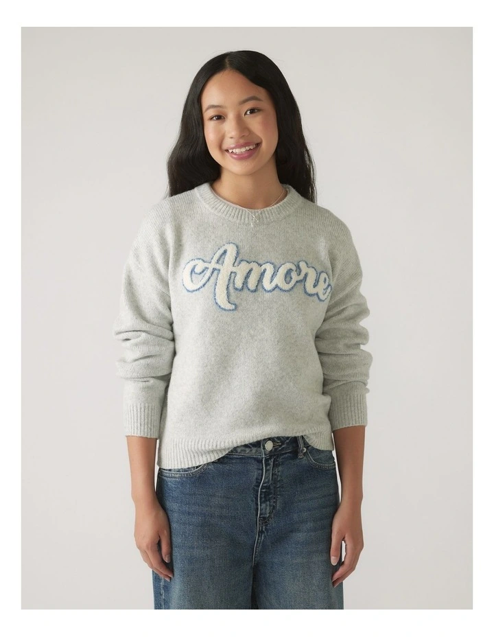 Amore Crew Knit Sweater in Ice Grey Marle image 3