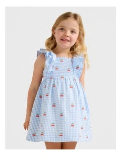 Brianna Girls Shirred Embroidered Dress in Multi