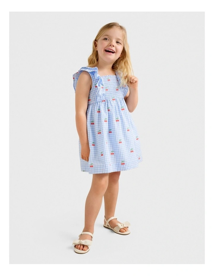 Brianna Girls Shirred Embroidered Dress in Multi image 3