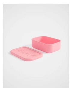 Lunch Box in Sherbet