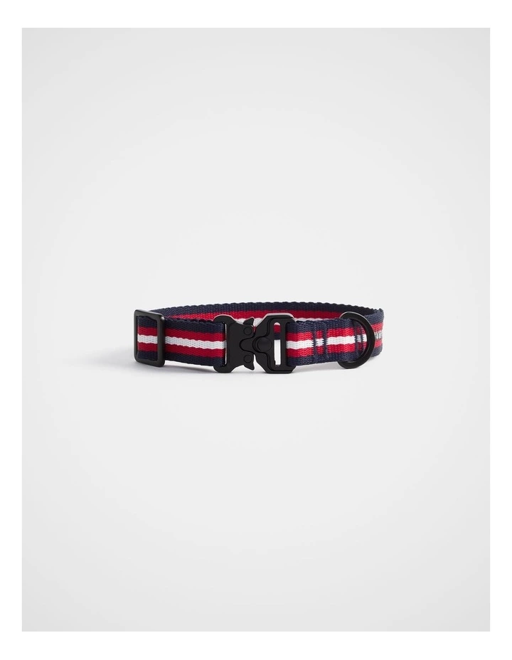 TREK. Pet Collar in Multi Stripe image 1