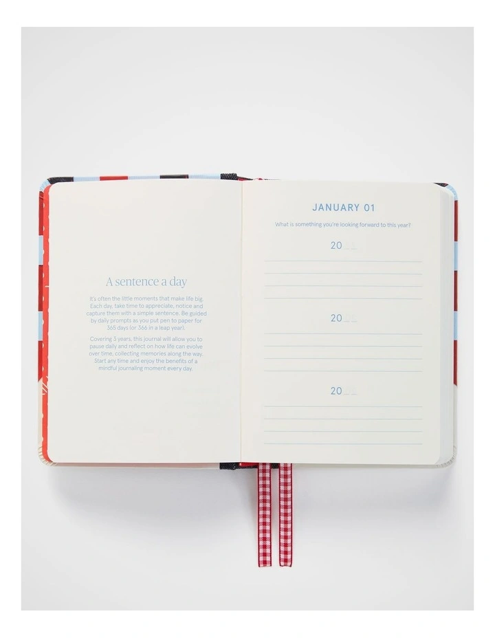 Journal Sentence A Day A6 in Gingham Ribbons image 4