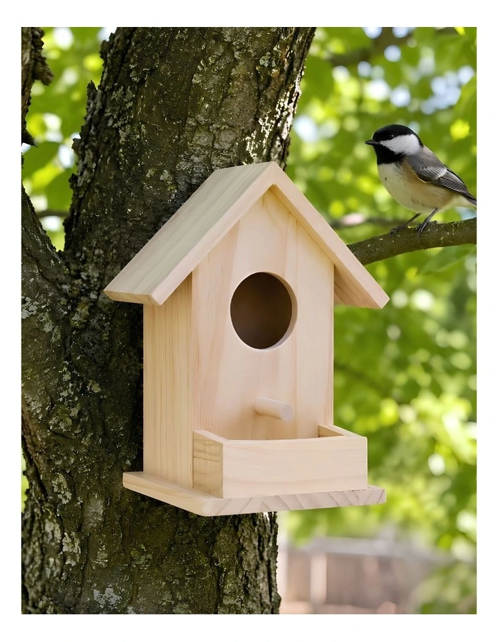 Bird House image 6