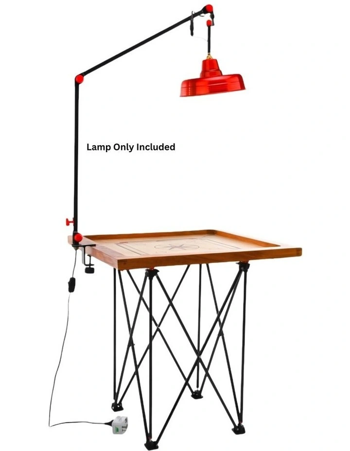 Carrom Lamp image 4