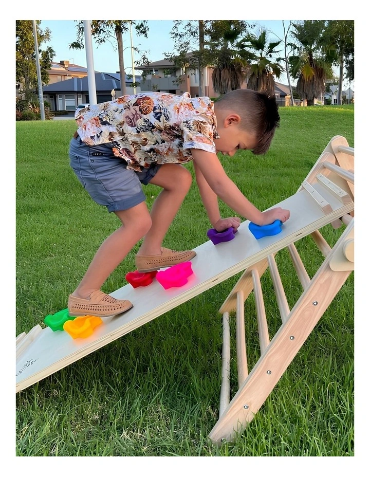 Rock Climbing Frame image 6