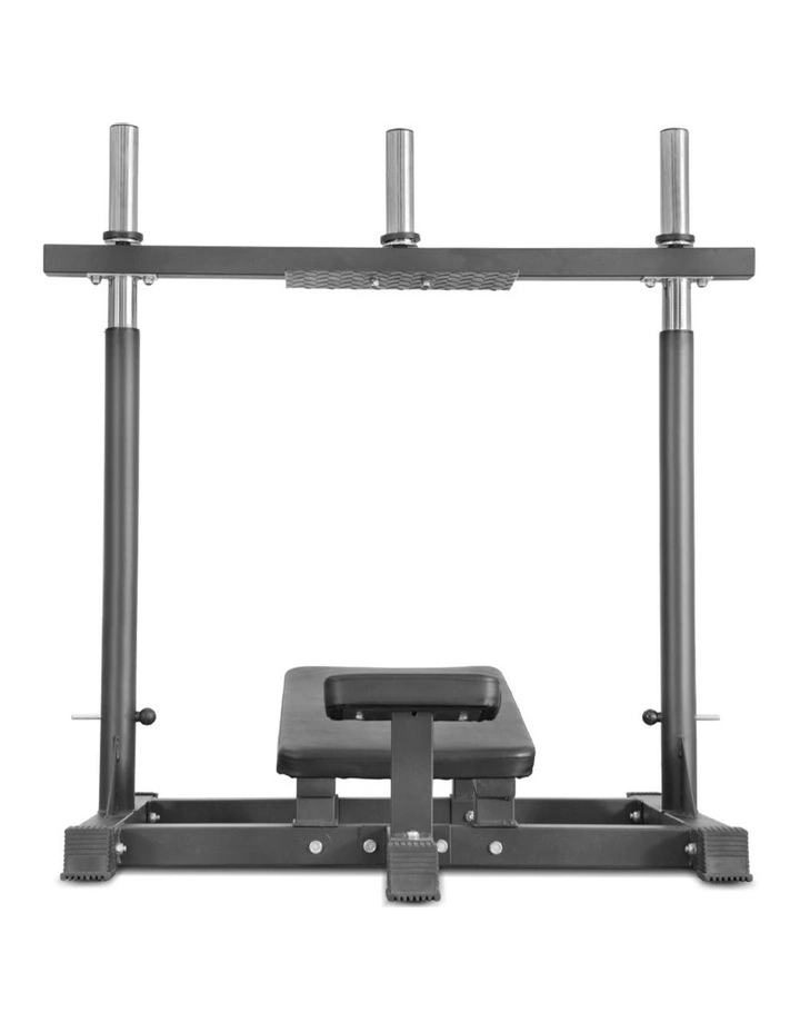 Home Fitness Leg Press image 2