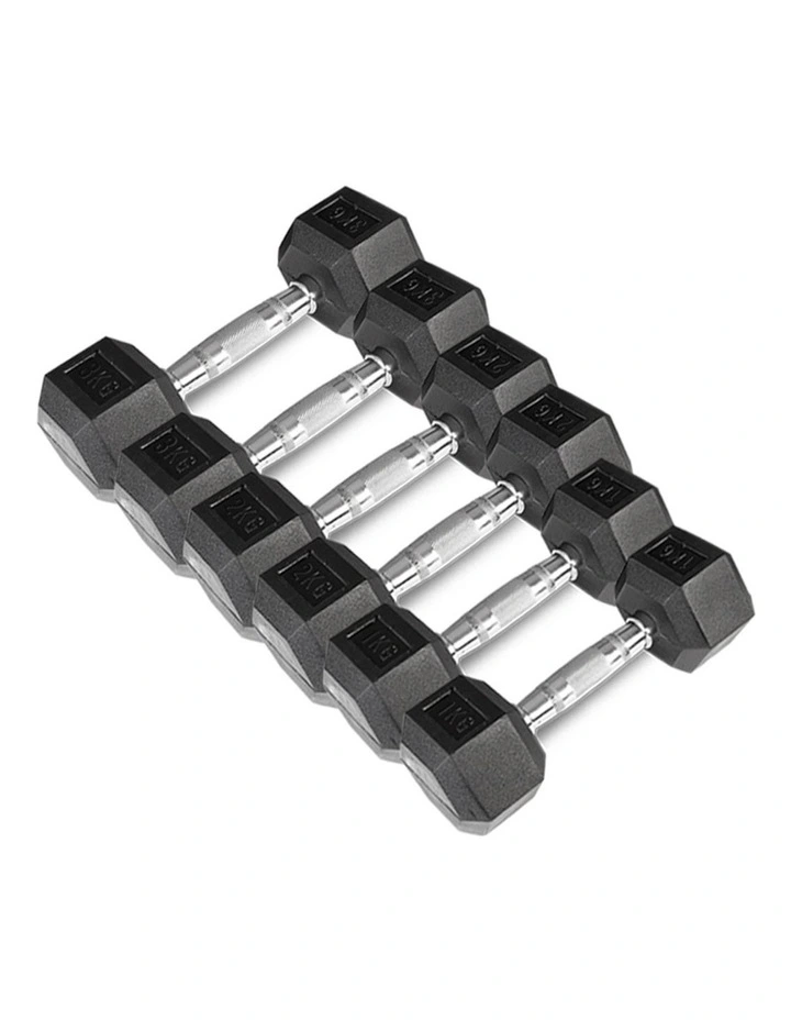 Hex Dumbbell 1kg to 3kg (Set) in Black image 1