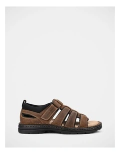 Spartan Ii Sandals In Brown