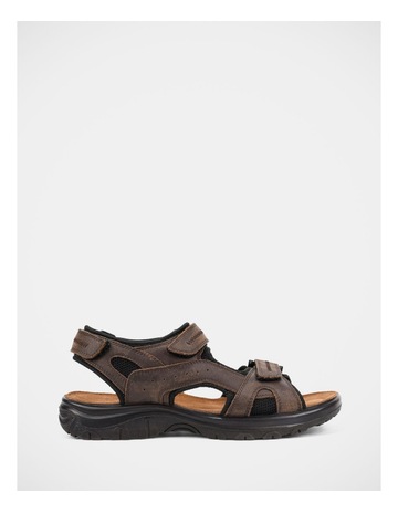 Brown colour