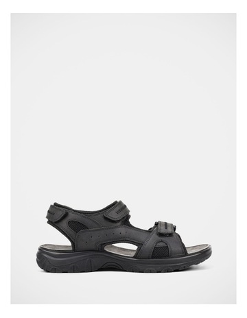 Black colour