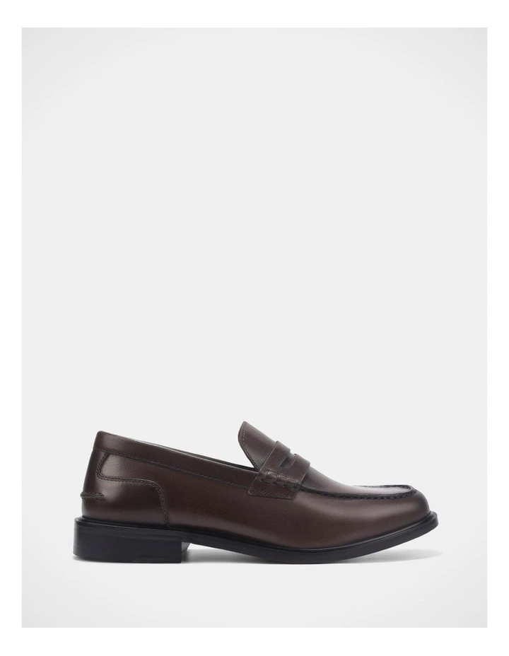 Xavier Shoes In Brown image 1