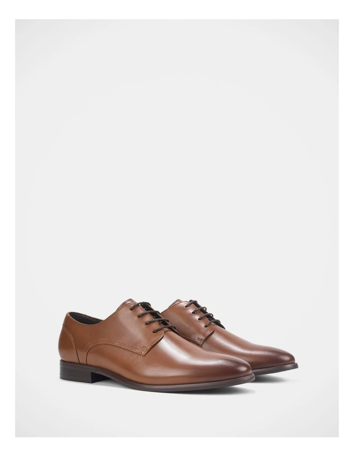 Alto Shoes In Cognac image 2