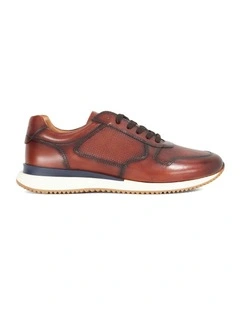 Taz Trainer in Brown