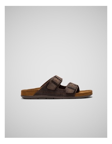 Chocolate colour