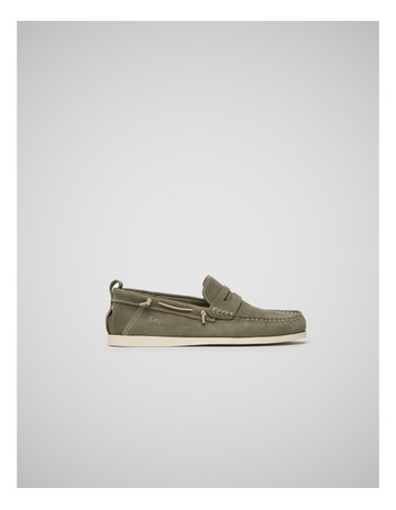 Olive colour