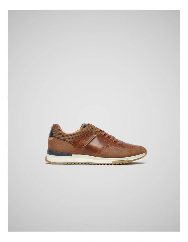 Albury Sneaker in Cognac image 1